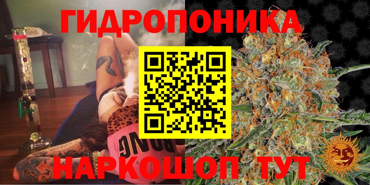 Бошки марихуана ГИДРОПОН  Марихуана гибрид  Магнитогорск  Вход с VPN  Марихуана сатива 